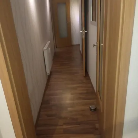 Ferienwohnung Rickyy Reichenbach im Vogtland Exterior foto